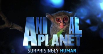 Animal Planet - nowa kolekcja