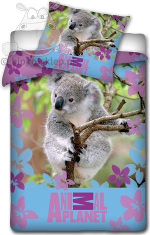 Pościel z misiem Koala Animal Planet