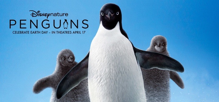 Pingwiny Disney nature Penguins 2019