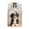 Pościel pies Berneński 5863 160x200 70x80 cm 5904708967908