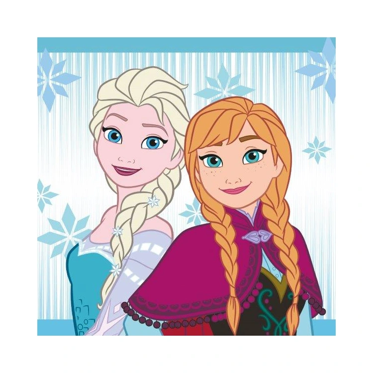 Ręcznik magiczny Disney Frozen 054 Anna Elsa 5907750548613 30x30 cm