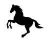 Konie logo