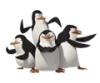Pingwiny z Madagaskaru logo