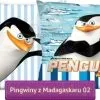 Dwustronna powłoczka Pingwiny z Madagaskaru, DreamWorks