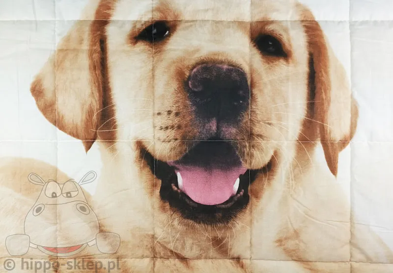 Nakrycie łózka dziecięcego z biszkoptowym labradorem