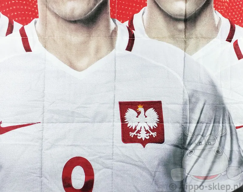 Piłkarze reprezentacji 