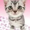 Ręcznik dla dzieci The Cat 03BT Detexpol 5901685619158