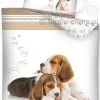 Pościel z psami - szczeniaki Beagle 160x200 lub 140x200