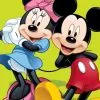 Ręcznik dla dzieci Myszka Minnie i Myszka Mickey zielony Disney Jerry Fabrics
