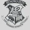Harry Potter ręcznik 70x140 cm, szary