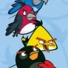 Ręcznik Angry Birds AB-8009T Rio Carbotex