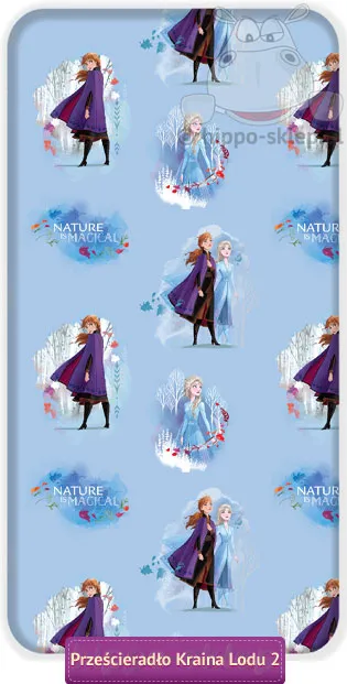 Prześcieradło Kraina Lodu Anna i Elsa 90x200 Disney