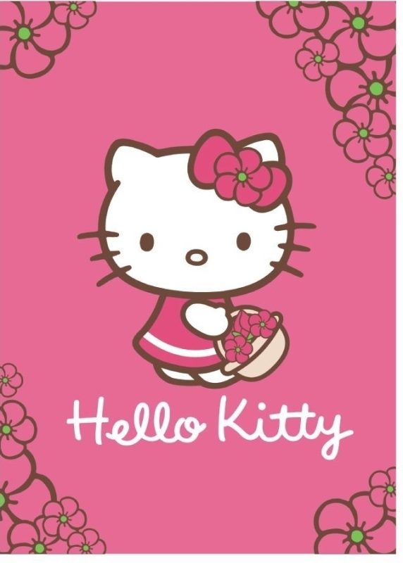 Gruby i ciepły koc Hello Kitty 01B, Sanrio, Detexpol