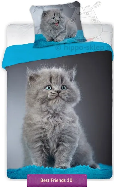 Pościel Best Friends 010 z kotem długowłosym 160x200 i 140x200