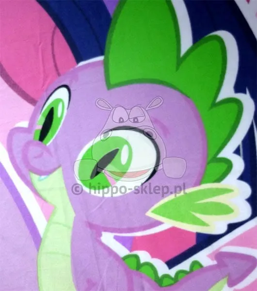 Pościel My Little Pony MLP 10DC Hasbro przykładowy nadruk