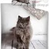Pościel kot Ragdoll 2924, Detexpol, 5901685646390