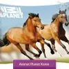 Konie Animal Planet duża poszewka 70x80, niebieska