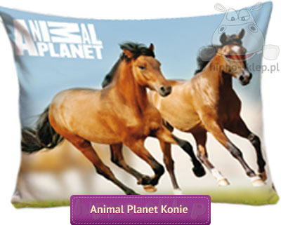 Konie Animal Planet duża poszewka 70x80, niebieska