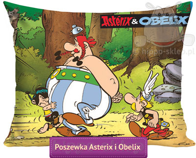 Duża poszewka Asterix i Obelix 70x80 cm, zielona