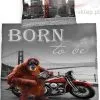 Pościel Born to be wild 140x200 cm, szara